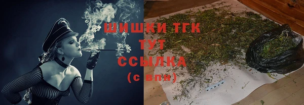 дмт Богородск