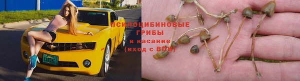дмт Богородск