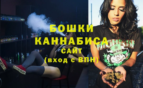 дмт Богородск