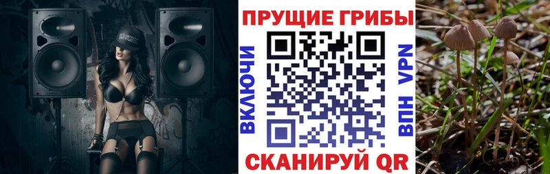 как найти закладки  Саяногорск  Галлюциногенные грибы Psilocybine cubensis 
